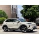 BYD Sea Lion 05 EV, пробіг 4 тисячі км 